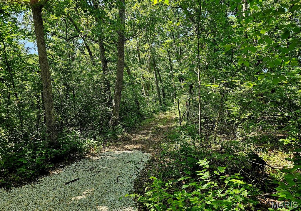8+/- Ac Walker Road Property Photo 4