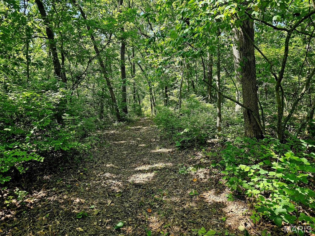 8+/- Ac Walker Road Property Photo 7