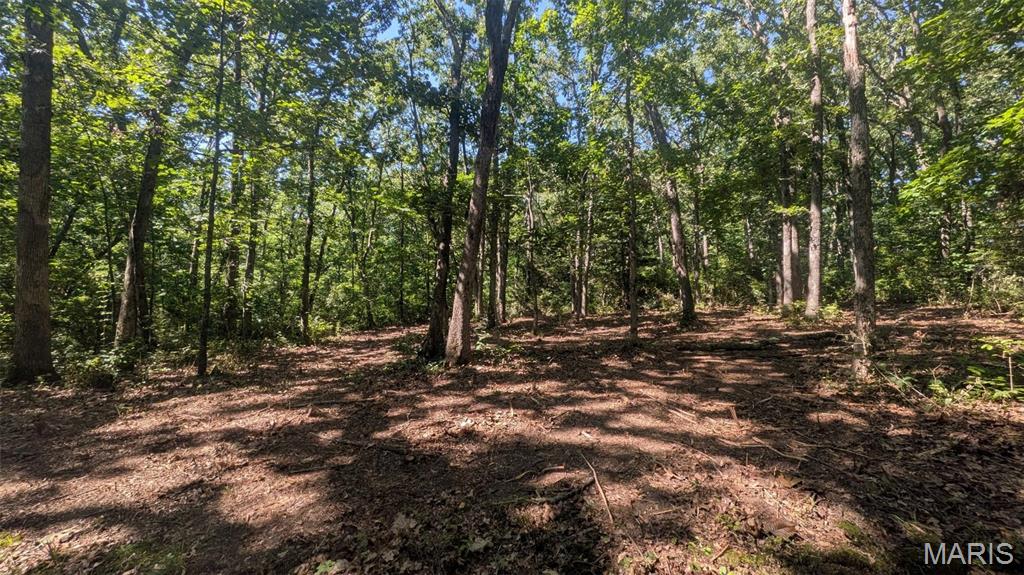 8+/- Ac Walker Road Property Photo 9