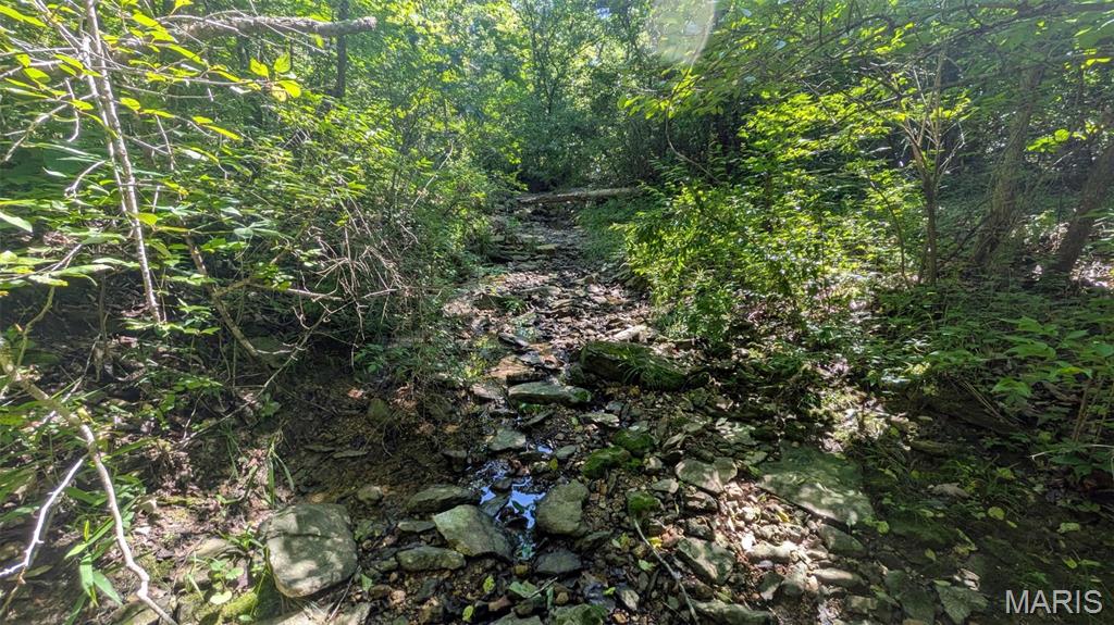 8+/- Ac Walker Road Property Photo 10