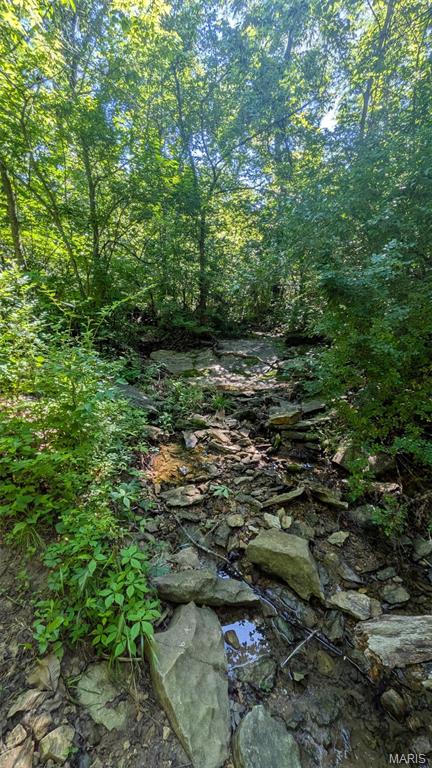 8+/- Ac Walker Road Property Photo 11