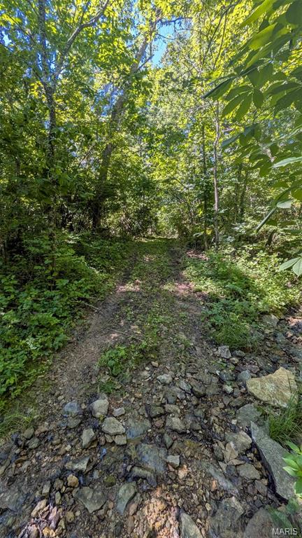 8+/- Ac Walker Road Property Photo 12
