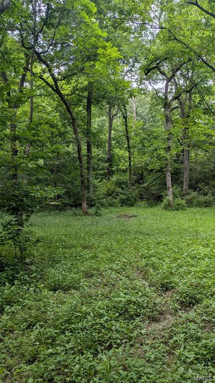 8+/- Ac Walker Road Property Photo 13