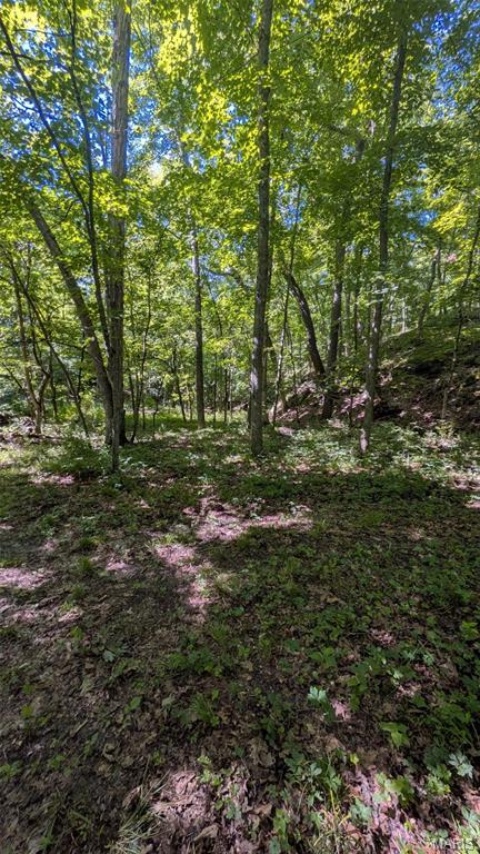 8+/- Ac Walker Road Property Photo 14