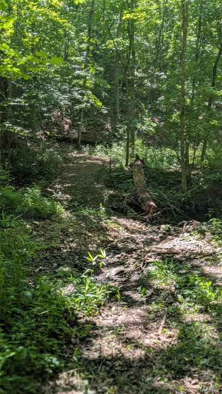 8+/- Ac Walker Road Property Photo 15