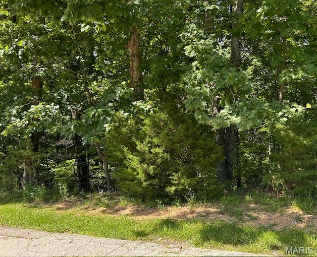 817 Wildflower Valley Drive Property Photo 1