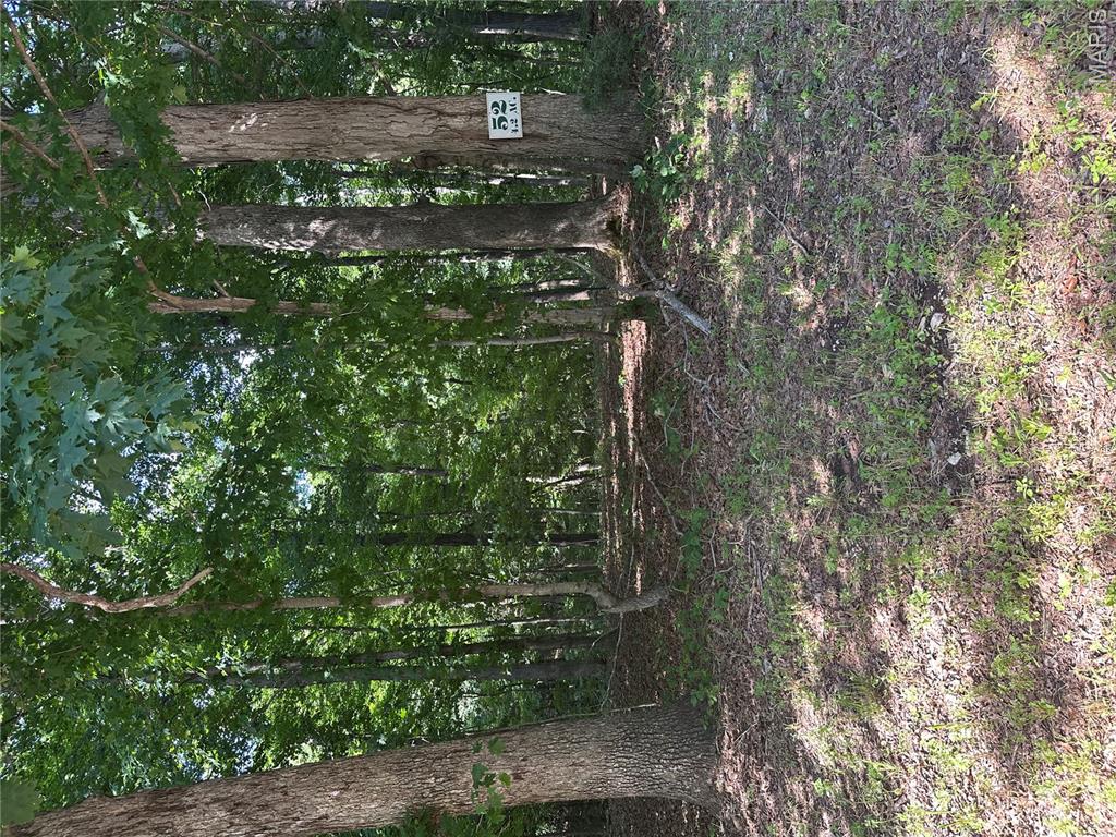 437 Big River View Property Photo 5