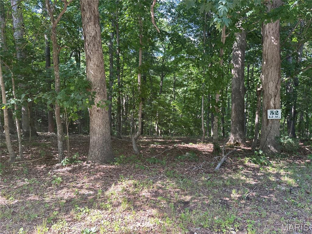 437 Big River View Property Photo 6