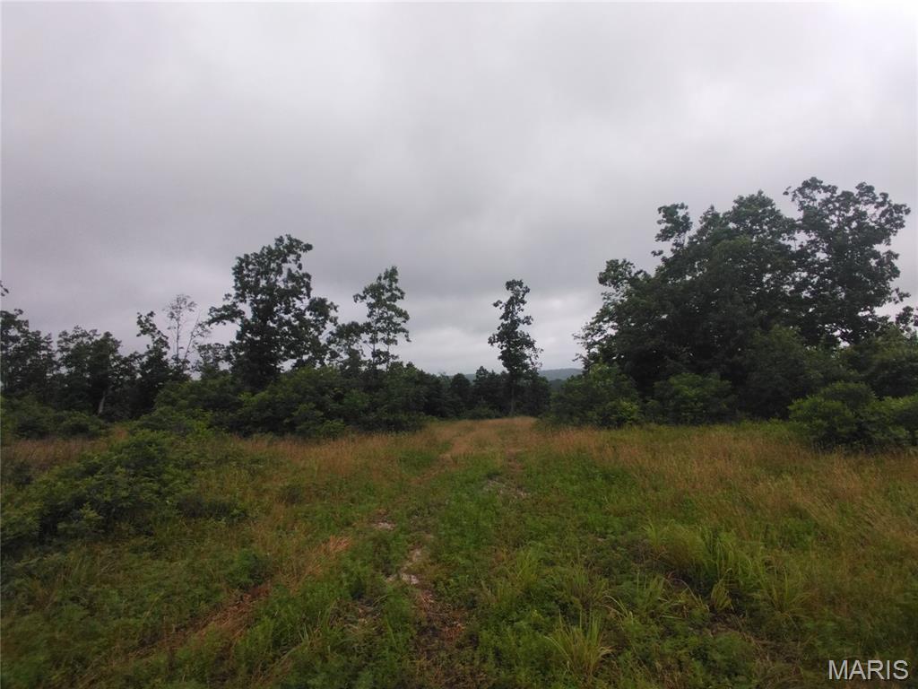 12 Tract 12 Property Photo 3