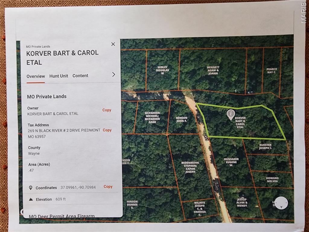0 County Road 453 Property Photo 1