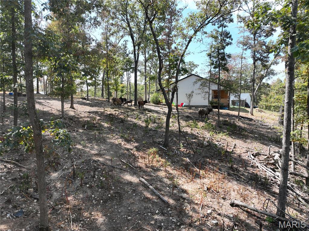961 Wayne 519 Property Photo 34