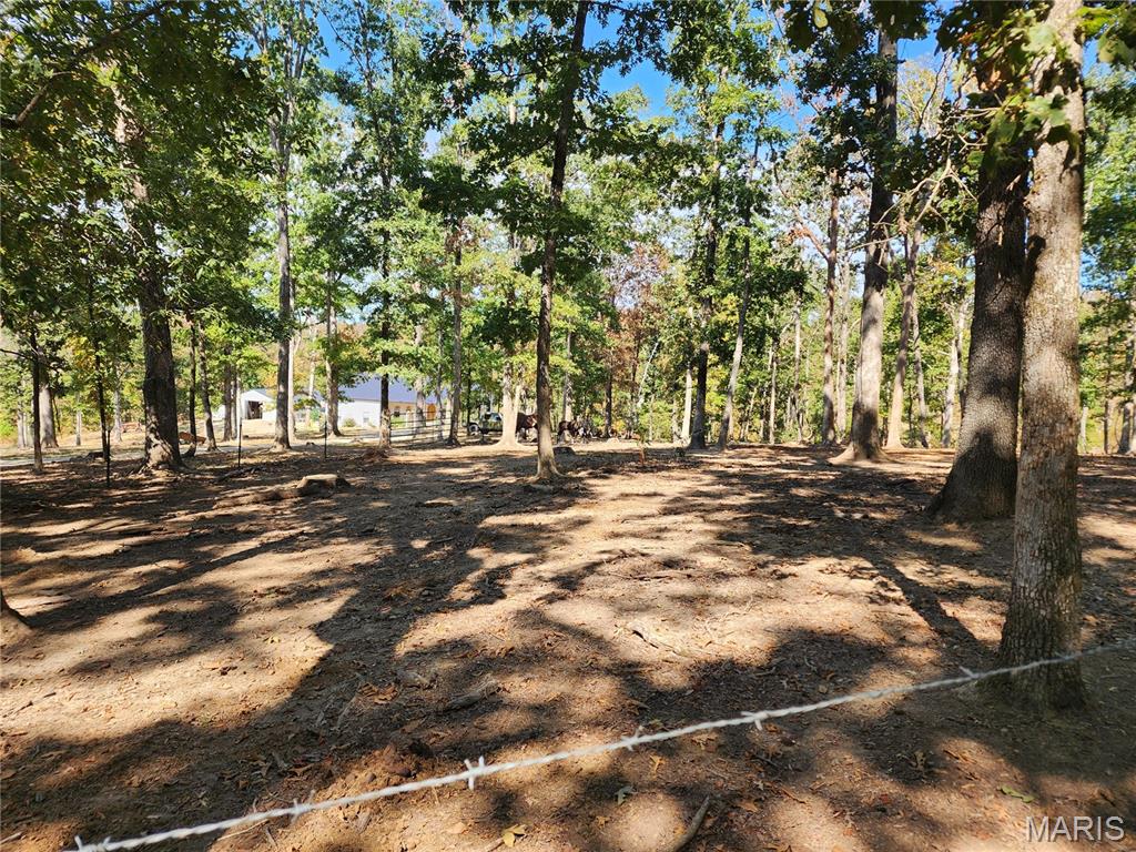 961 Wayne 519 Property Photo 35