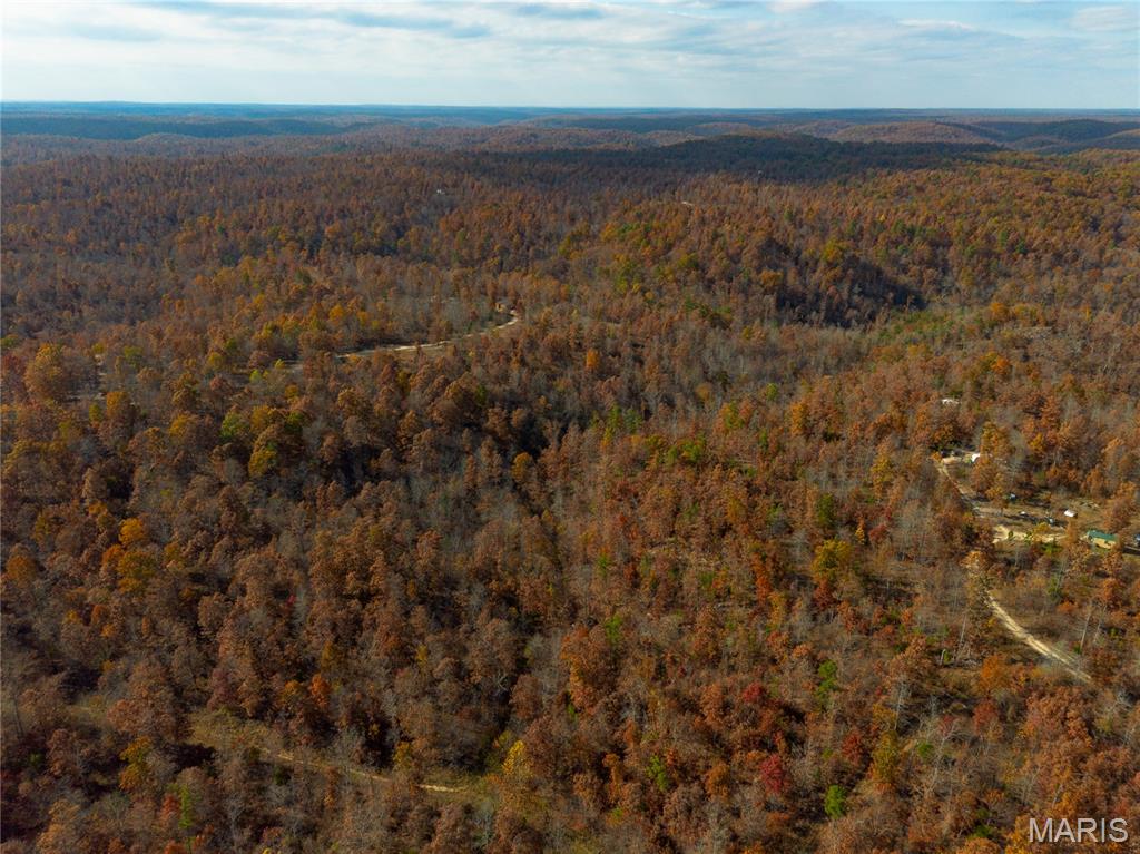 15682 Winding Trail Property Photo 1