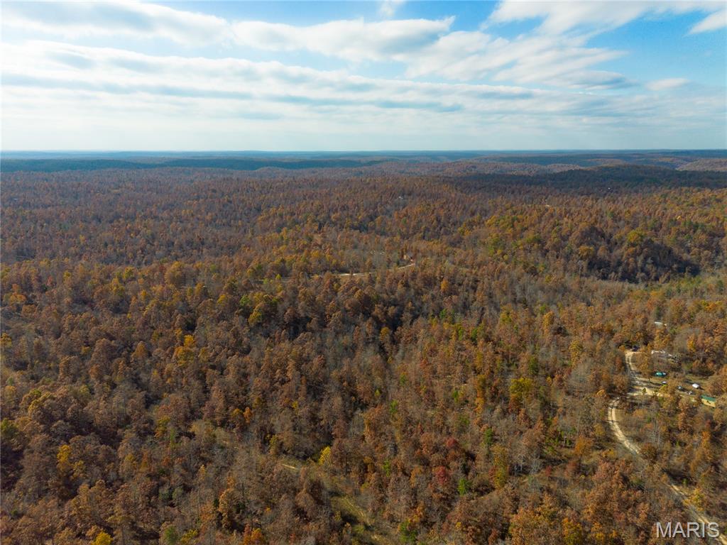 15682 Winding Trail Property Photo 2