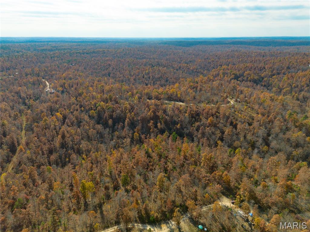 15682 Winding Trail Property Photo 3