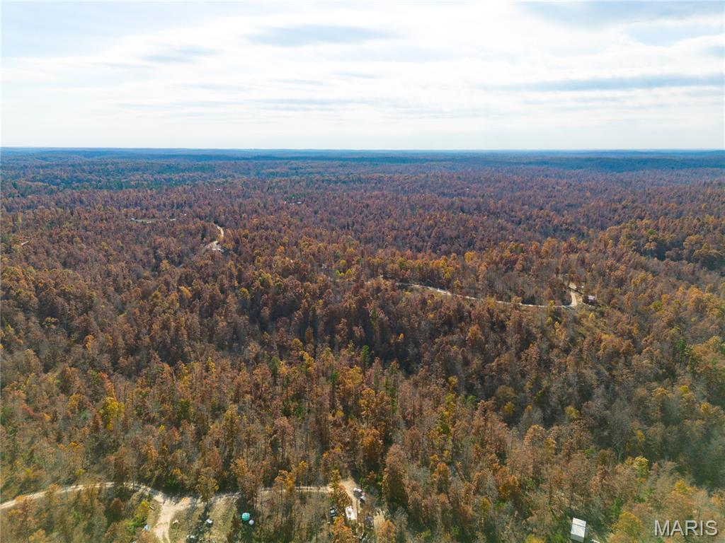 15682 Winding Trail Property Photo 4