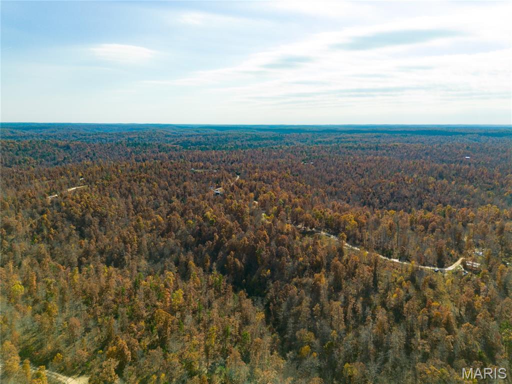 15682 Winding Trail Property Photo 5