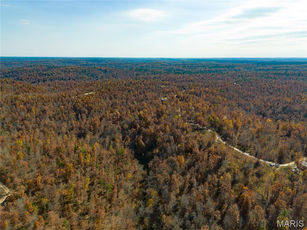 15682 Winding Trail Property Photo 6