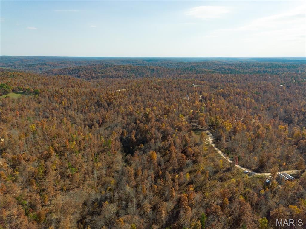 15682 Winding Trail Property Photo 7