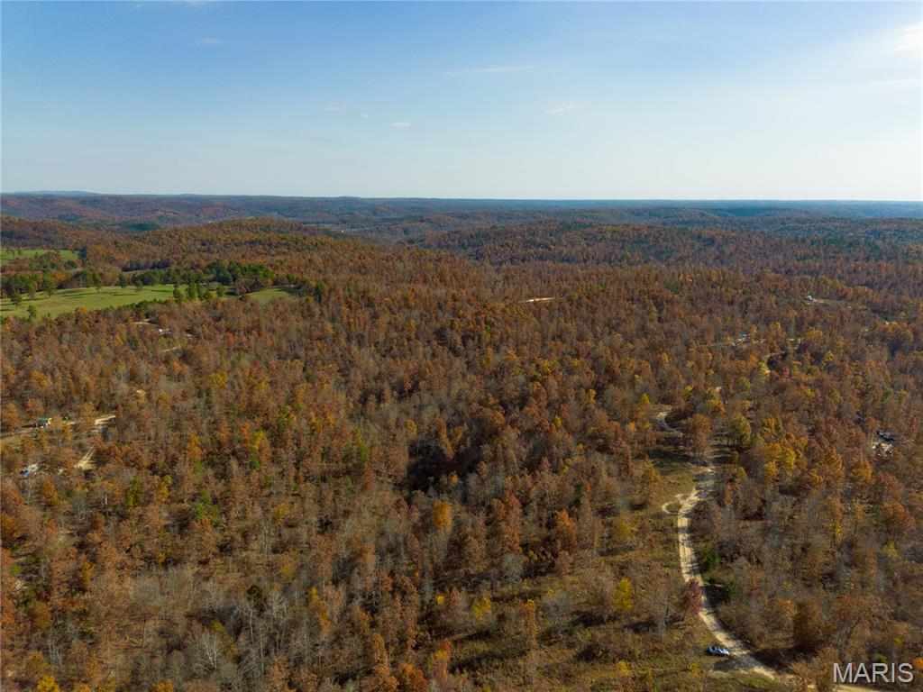 15682 Winding Trail Property Photo 8