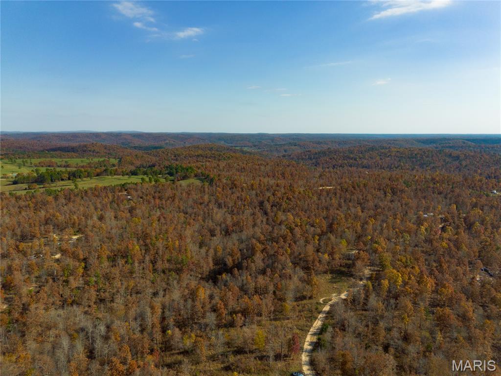 15682 Winding Trail Property Photo 10