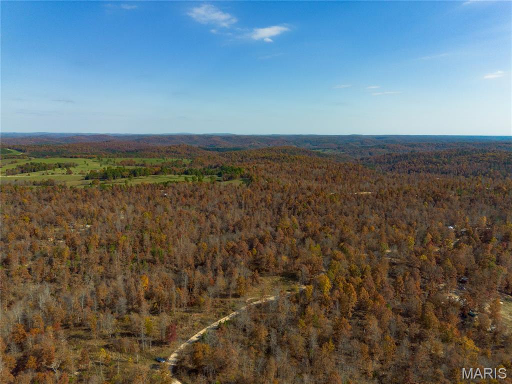 15682 Winding Trail Property Photo 11