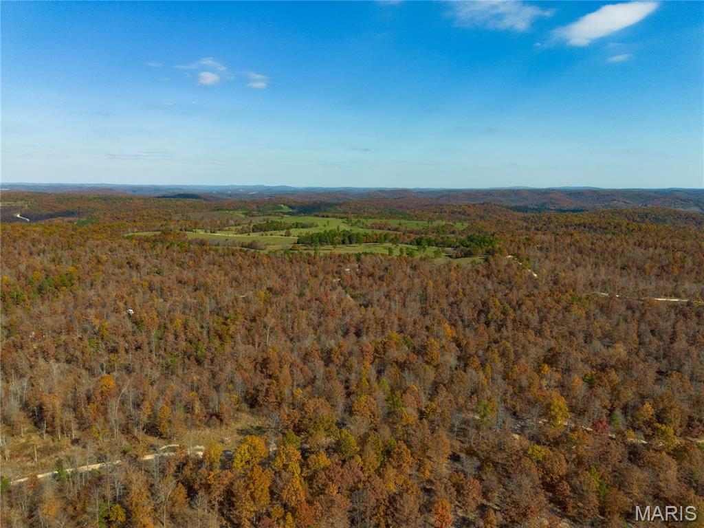 15682 Winding Trail Property Photo 13