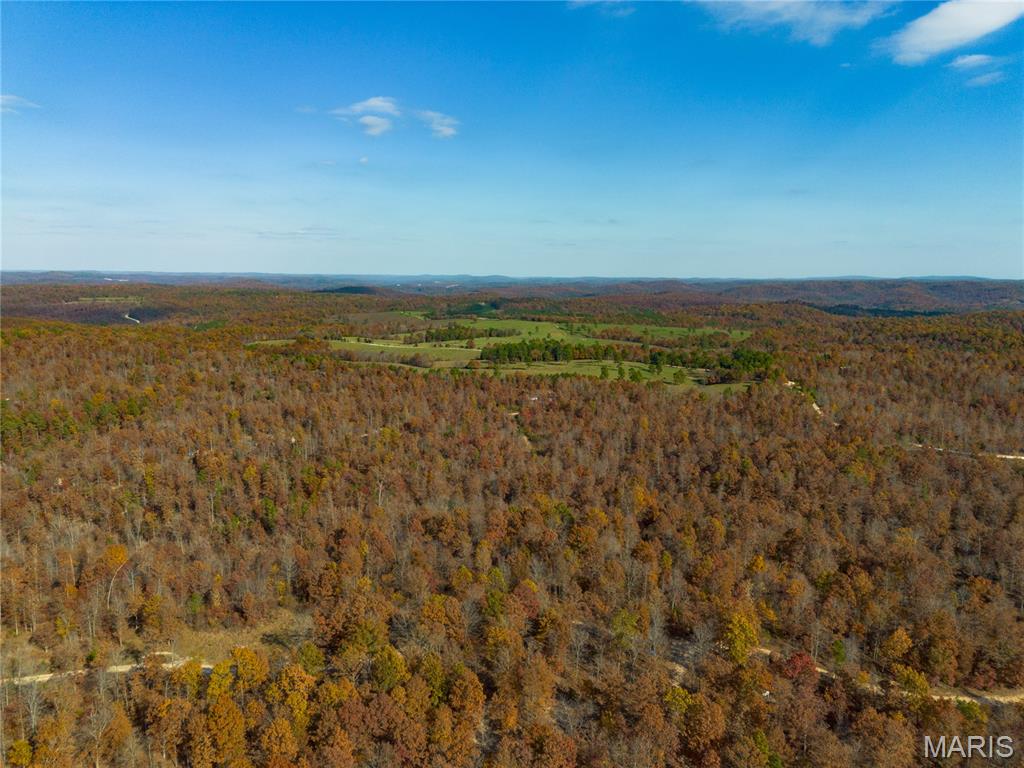 15682 Winding Trail Property Photo 14