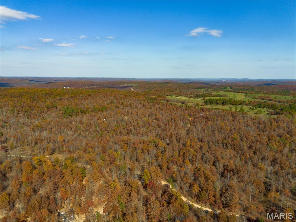 15682 Winding Trail Property Photo 15