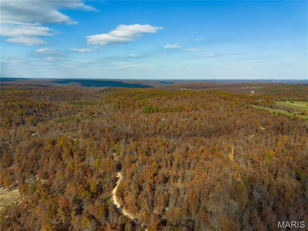 15682 Winding Trail Property Photo 16