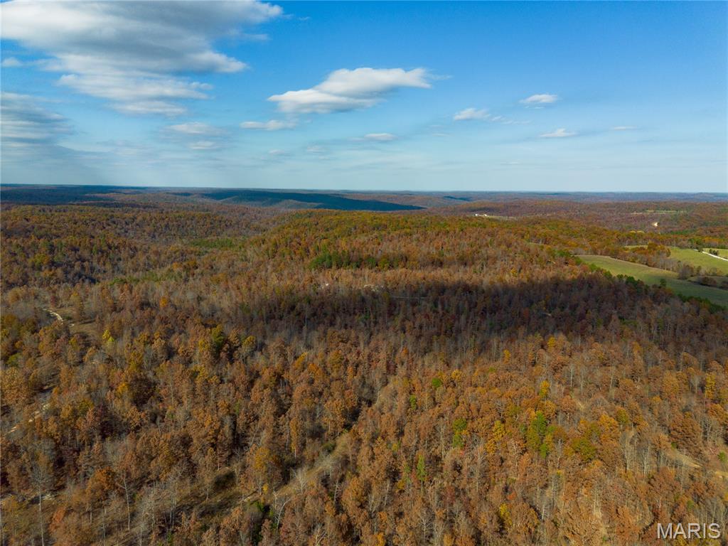 15682 Winding Trail Property Photo 17