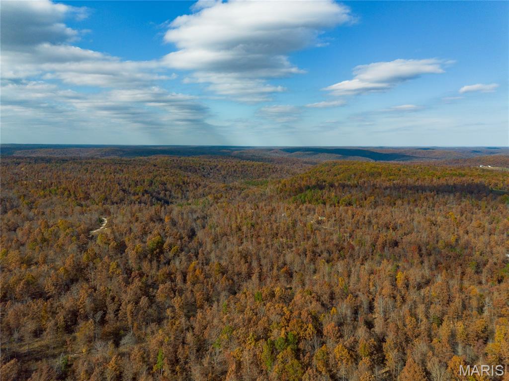 15682 Winding Trail Property Photo 20