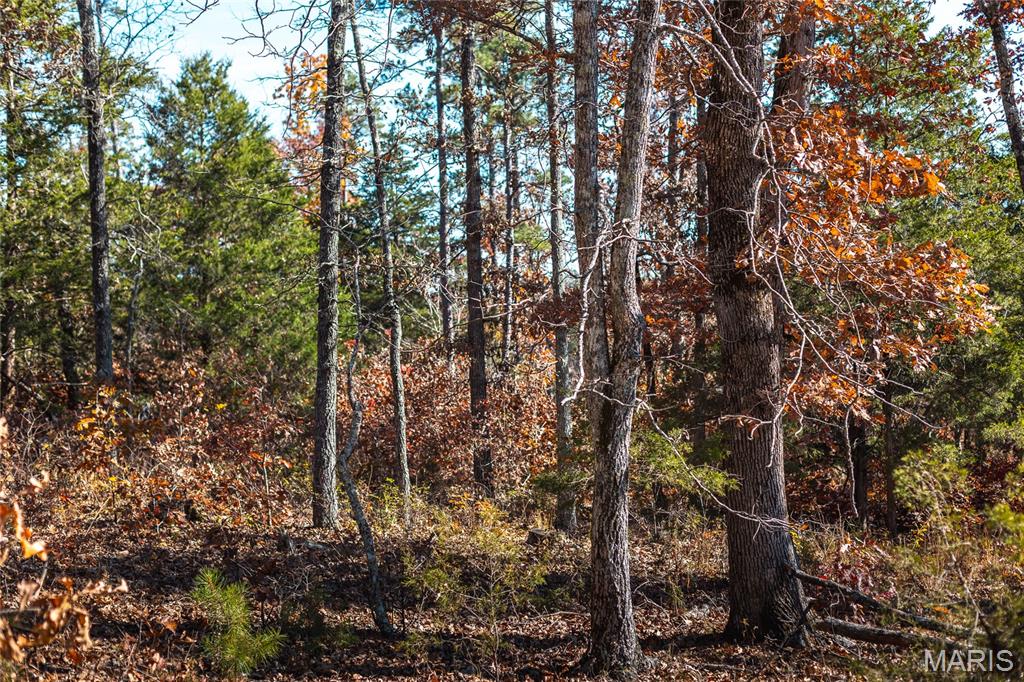 15682 Winding Trail Property Photo 23