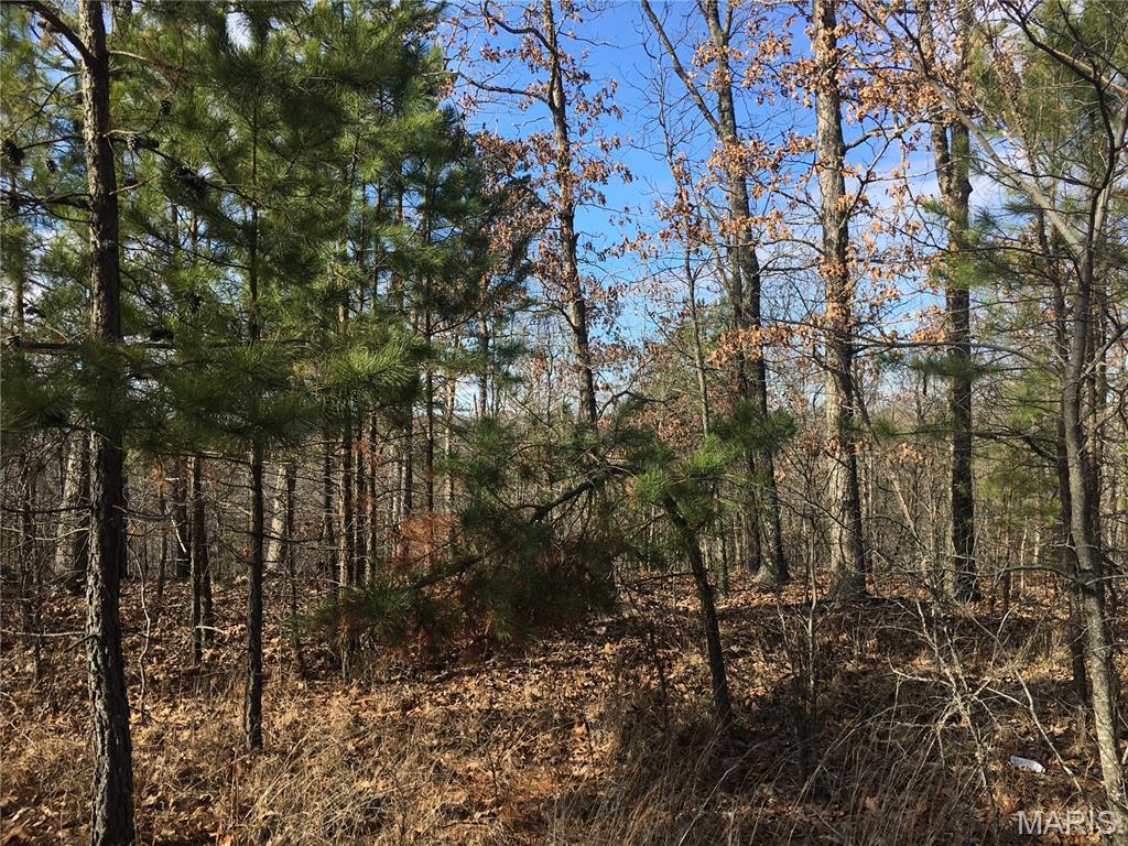 0 County Road 443 Property Photo 1