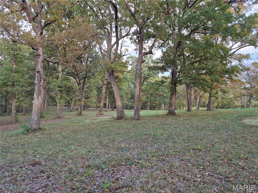 0 Highway D - Tract 5a (14+/- Acres) Property Photo 3