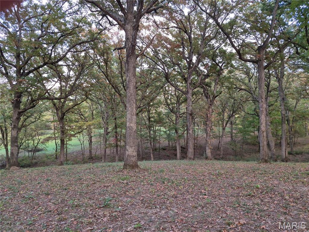 0 Highway D - Tract 5a (14+/- Acres) Property Photo 5