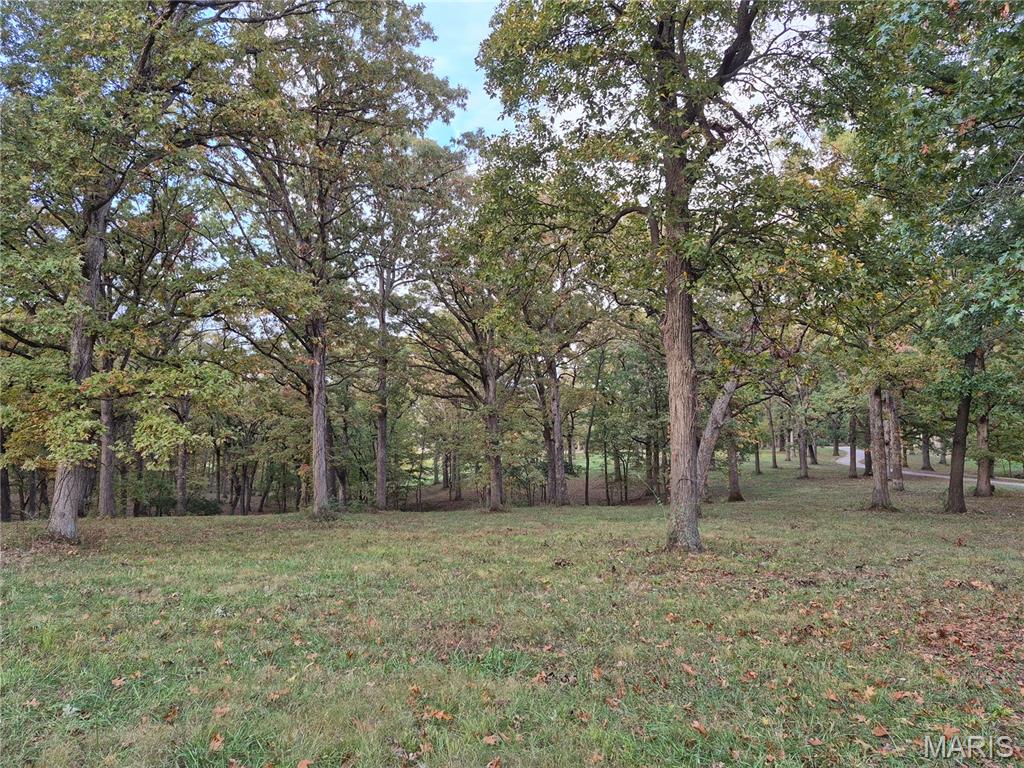 0 Highway D - Tract 5a (14+/- Acres) Property Photo 8