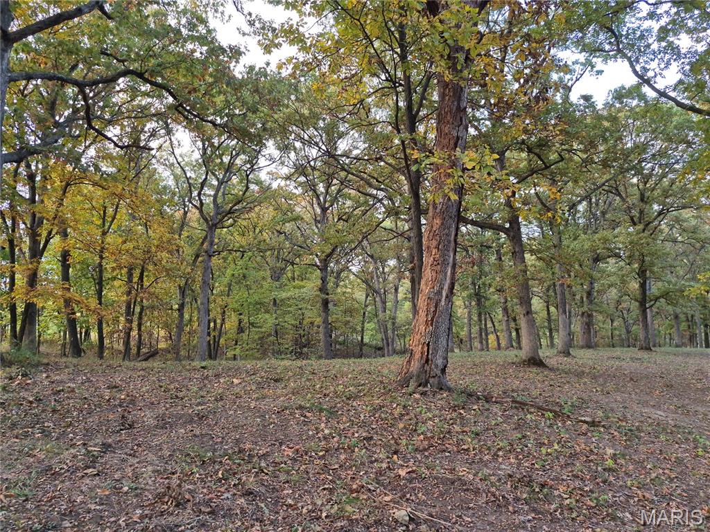 0 Highway D - Tract 5a (14+/- Acres) Property Photo 9
