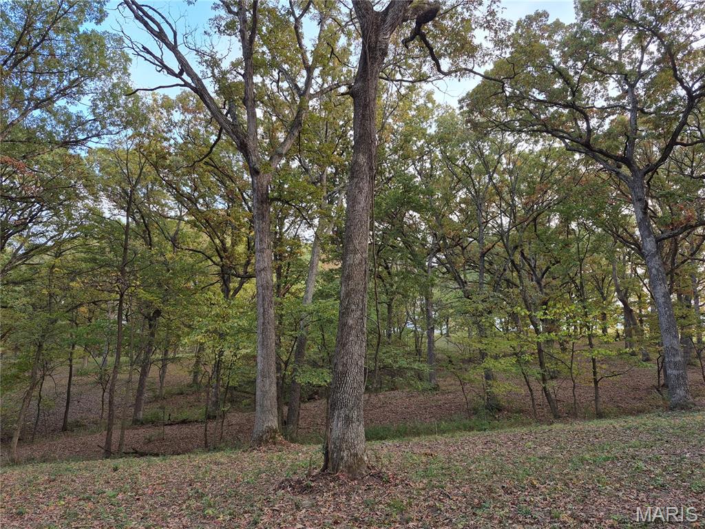 0 Highway D - Tract 5a (14+/- Acres) Property Photo 10