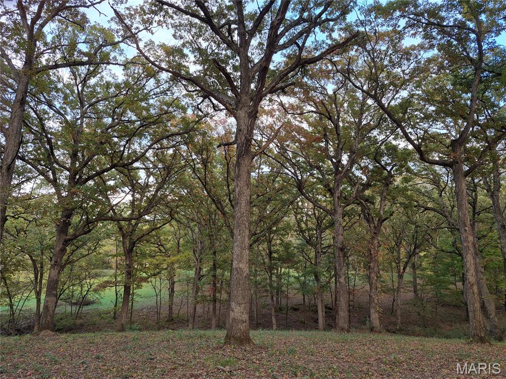 0 Highway D - Tract 5a (14+/- Acres) Property Photo 11