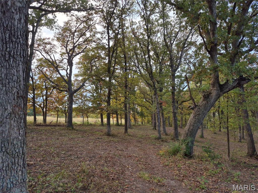 0 Highway D - Tract 5a (14+/- Acres) Property Photo 12
