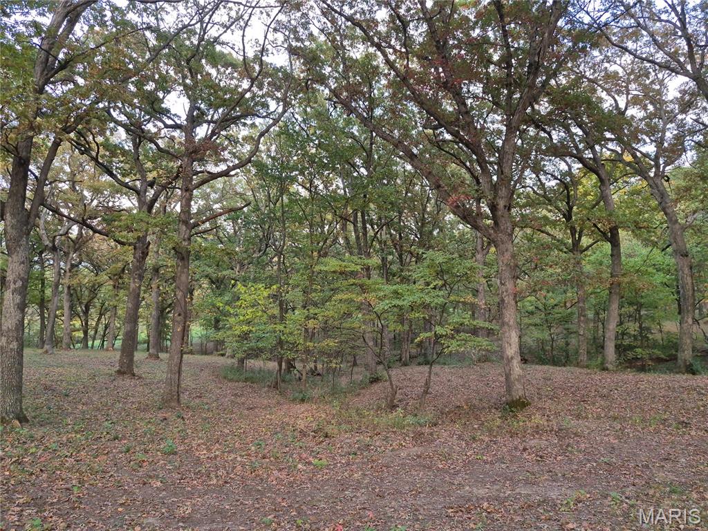 0 Highway D - Tract 5a (14+/- Acres) Property Photo 13