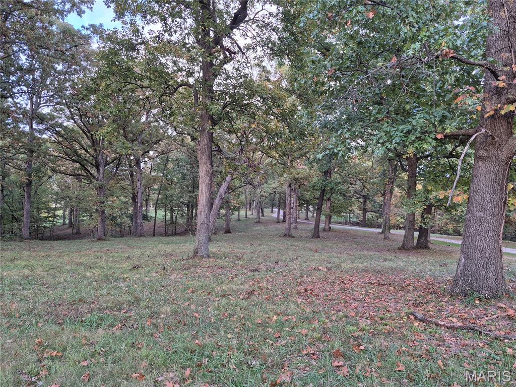 0 Highway D - Tract 5a (14+/- Acres) Property Photo 14