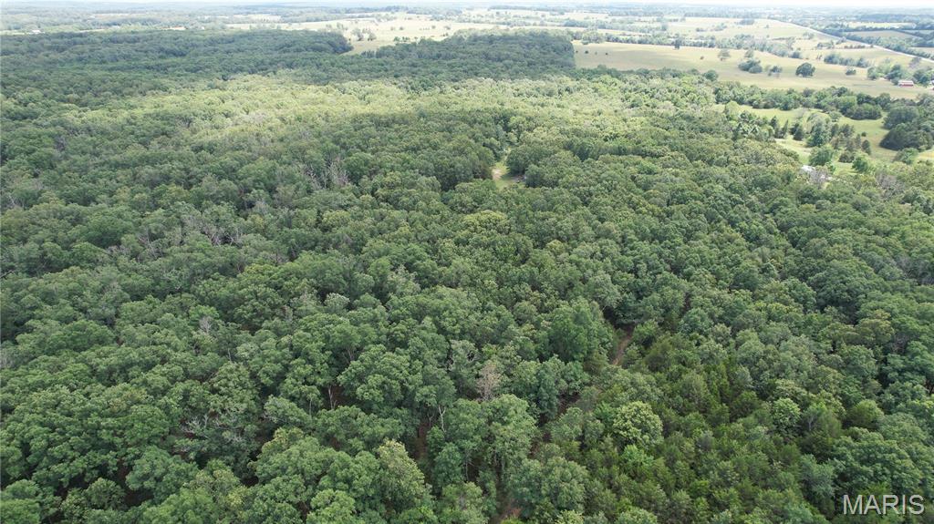 1 State Highway 38 Property Photo 4