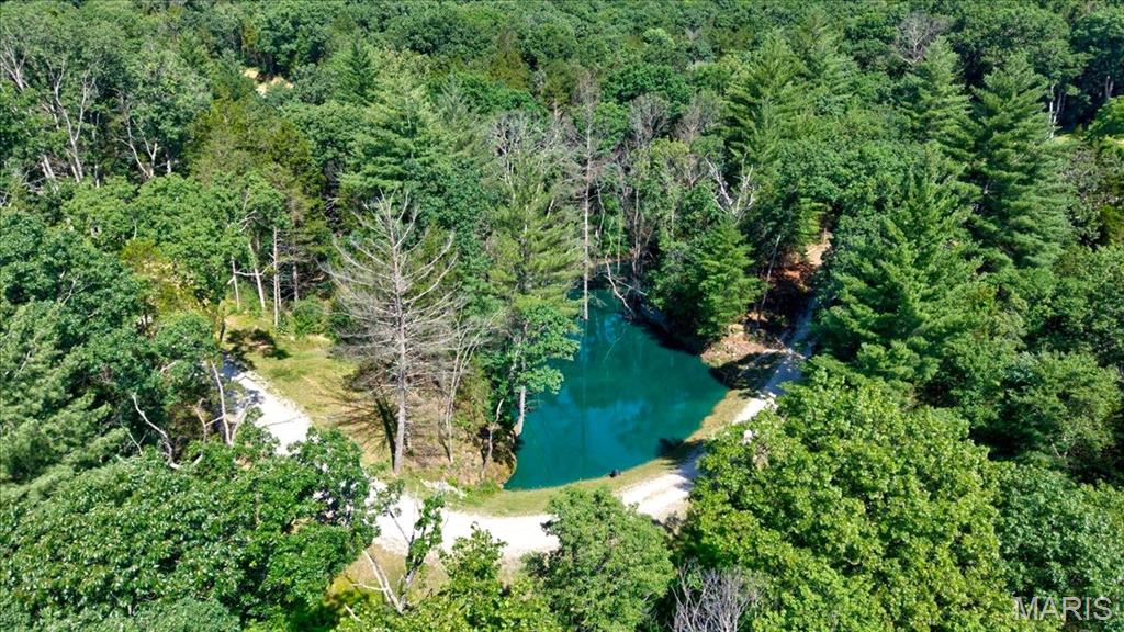 3200 Mossy Ridge Way Property Photo 4