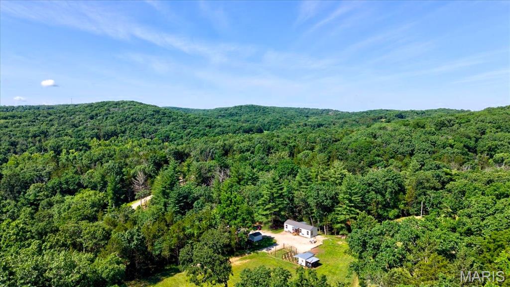 3200 Mossy Ridge Way Property Photo 8