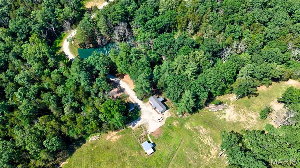 3200 Mossy Ridge Way Property Photo 9
