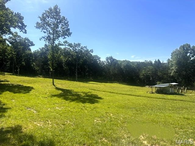 3200 Mossy Ridge Way Property Photo 16