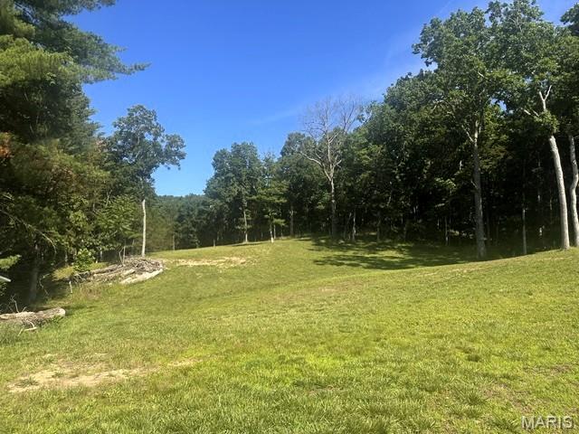 3200 Mossy Ridge Way Property Photo 18