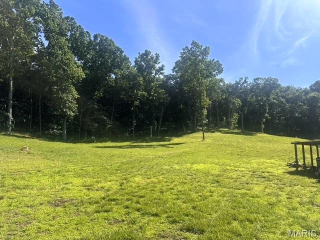 3200 Mossy Ridge Way Property Photo 19